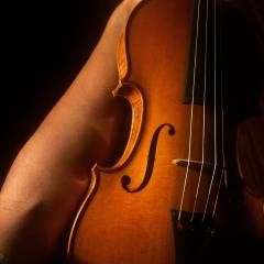 Boston Violin Makers