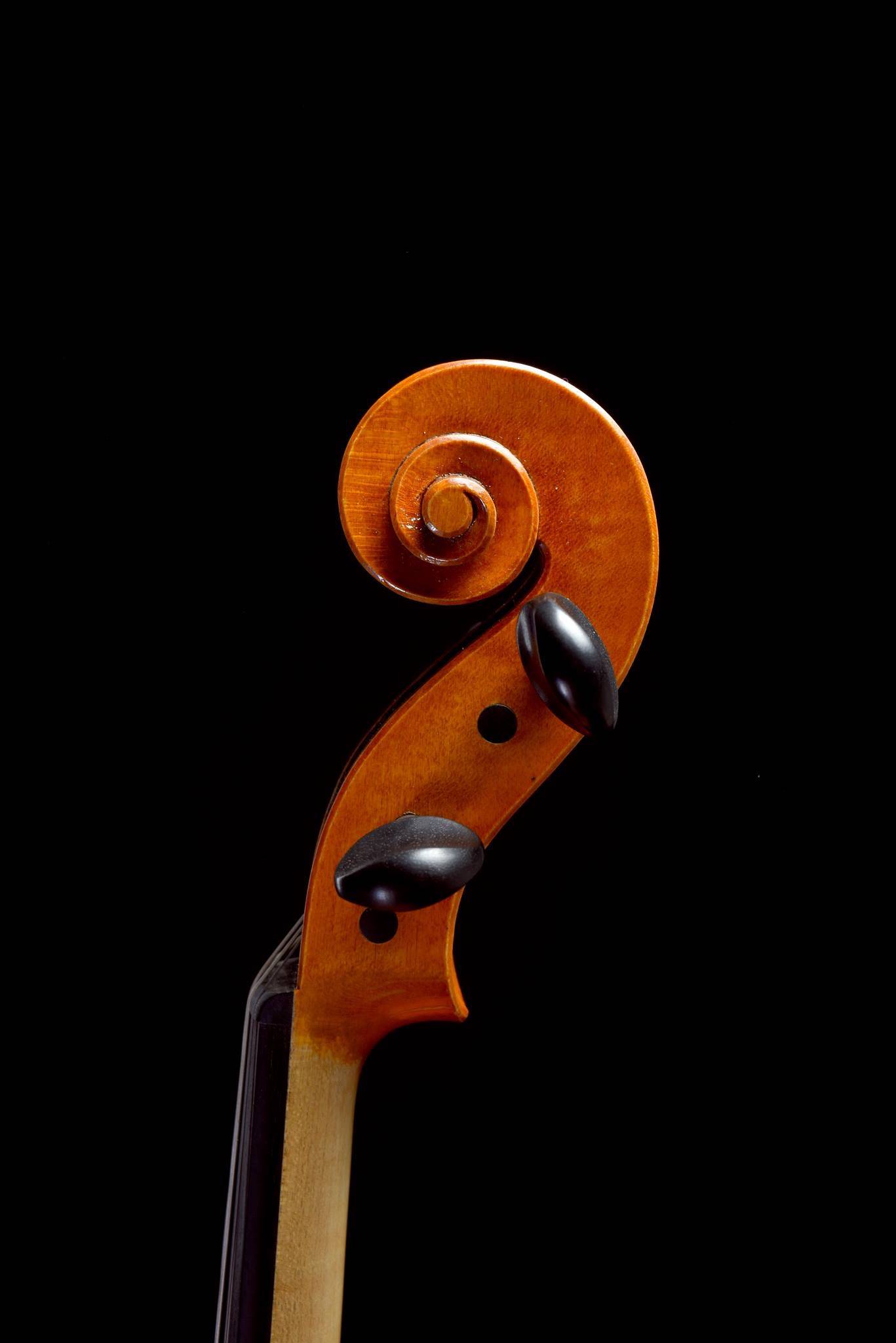 Boston Viola Makers - Marcus Bretto